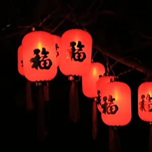 Đèn trang trí năng lượng mặt trời đèn lồng dài tiết kiệm điện bóng siêu sáng chống thấm nước - DA3208