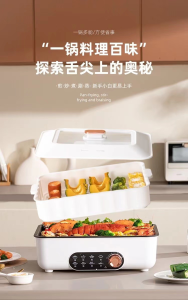 WE 3838 = 方形多功能电煮锅 Square multifunctional electric cooker ☞ 39cm