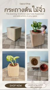 กระถางต้นไม้ จิ๋ว (เฉพาะกระถางเท่านั้น) 7x7x7.5cm