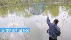 Jaring Pancing Ikan Hexagonal 8 Hole Fishing Net Trap Cage