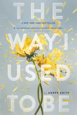 The way i used to be by Amber Smith