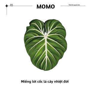 pdq | Tấm Lót Ly Lá Monstera Acrylic Màu Xanh Nhiệt Đới Thân Thiện Với Môi Trường Chống Trơn Trượt Dùng Làm Giá Đỡ Cốc Bảo Vệ Mặt Bàn Bếp