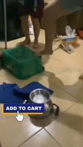 TaffHOME Perangkap Tikus Jebakan Mouse Trap Cage - Black