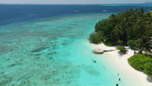 Lenovo 150 Wireless Mouse เมาส์ไร้สายขนาดเต็ม GY51L52638