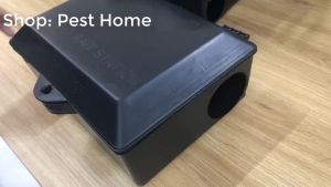 Hộp bẫy chuột - Lồng bẫy chuột - Bẫy chuột thông minh