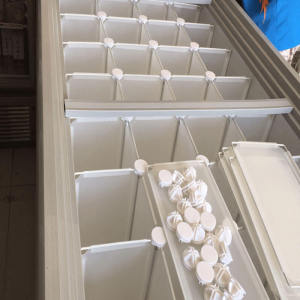 Ice Cream And Dumpling Freezer Organizer Divider