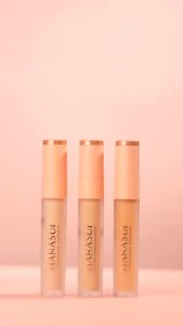 Hanasui Perfect Cover Concealer 4.5gr