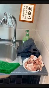 TERMURAH Mouse Trap Alat Jebakan Perangkap Tikus Jebakan tikus  Praktis Moderen