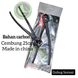 catok bonsai krekut bonsai cembung carbon