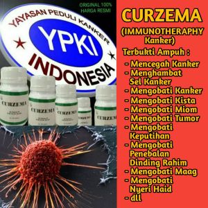 Curzema Asli YPKI Herbal Alami Obat Tumor Otak Ganas Di Kepala Paling Ampuh