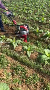 REAIM mini cultivator Mini Tiller Bensin Mikro Alat Pengolah Power Cultivator Tiller Mesin Traktor 52CC 2-Stroke Petrol Engine Rotary