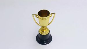 12 Chiếc Cúp Nhỏ 4 Inch Cúp Tham Gia Huy Chương Vàng Dành Cho Các Giải Đấu Thể Thao Cuộc Thi Giải Thưởng Lưu Niệm PVC Nhỏ