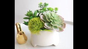 Cây giảChậu Sen Đá giả Mix để bàn trang trí chậu sứ