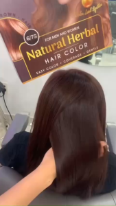 Nhuộm phủ bạc VYPRO 500ml*2 hiệu quả an toàn với 5 mã màu thời trang _ homemark