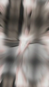 Đầm ren dáng ngắn thiết kế cổ tròn phối lưới có thắt eo NEWFASHION99