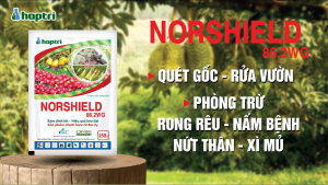 ( Hợp Trí ) NORSHIELD 86.2WG (50G) - THUỐC TRỪ BỆNH GỐC ĐỒNG CHE PHỦ BÁM DÍNH TỐT - Hàng Hiệu Chính Hãng