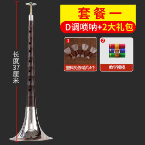 XuanHe Professional Sheng Nu Wood Oboe Full Set for Beginners D Scale Traditional Style Red And White Happy Events Old School