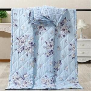 Thickened Pure Cotton Washable Student Summer Air Conditioner Quilt Spring Autumn Quilt Double Layered Cool Feeling Bedding