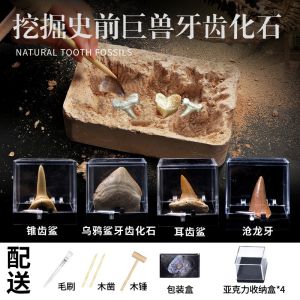 Geology True Meteorite Archaeological Digging Crystal Rock Teaching Specimen Children Gift Educational Toy for Kids