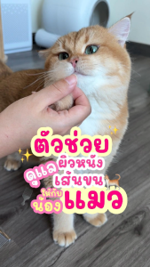 เหมียวไฟน์ Meow Fine 3 กระป๋อง ซุปปลาสกัดเข้มข้น เสริมด้วย L-Lysine 500 mg.