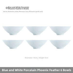 JINGDEZHEN | Blue and White Feather Pattern Chinese Tableware Set 6 Pieces