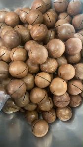 Hot Deal ! แมคคาเดเมีย อบเนย 2แถม2 ราคาพิเศษ จากปกติ 159 ราคาเพียง 99บาท เท่านั้น!