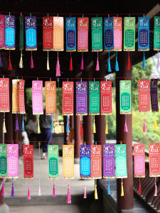 CAIKOU | Decorative Lanterns and Riddle Cards