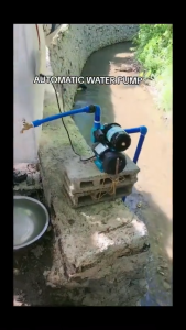 REAIM 2HP Automatic Self-Priming Jetmatic Water Pump 220V 60Hz Intelligent Water Pressure Booster Pump for Household Shallow Well