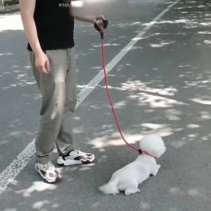 1.8M Dog Collar Dog Rope Dog Training Rope High Reflective Dog Collar Medium Large Dog Collar