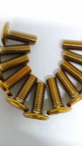 Baut Disc Piringan Cakram Model ProBolt Gepeng Gold Bintik Universal