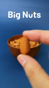 Big Nuts Lightly Roasted Almonds (Sea Salt) 500g - Halal Certified