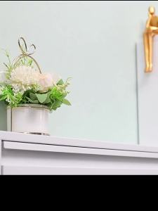 DIBIOU | Ultra-thin Narrow Metal Entry Shoe Cabinet Large Capacity