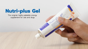VIRBAC NUTRIPLUS GEL 120.5g