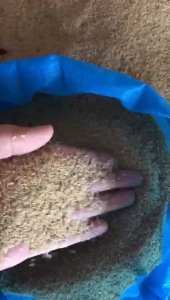 Telur Jangkrik Alam Sliring Super Kemasan 1Kg Gratis Packing