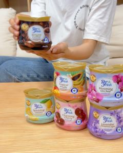 Purfresh 200g Mosquito Repellent Scented Gel | Long-Lasting Room Fresh Gel Fresh Air Refreshing Gel (For Car  Foom)