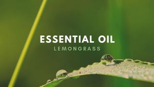 Rumah Wangi ARA - Essential Oil LEMONGRASS Minyak Esensial Aromatherapy