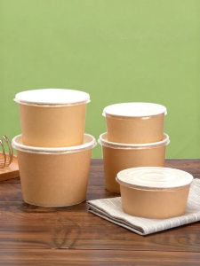 PAITUO | Disposable Lunch Box Set For Home and Picnic