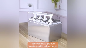 2 Head Stainless Steel Sauce Dispenser Pump Station Per Press Commercial Condiment Dispenser Salad Jam Seasoning Sauce Squeeze for Fried Chicken Burger Fast Food Restaurant