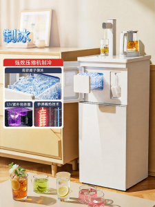 Zoomland | Ice Maker Heated Intelligent Water Dispenser