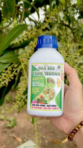 Phân Bón LÁ NK-Trung-Vi Lượng NHS NIKAMA Hiệu GA3 SỮA TĂNG TRƯỞNG – Siêu Kéo Bông Mập Bông Phì Trái Nhanh Chắc Ruột Nặng Ký (Chai 500ml)