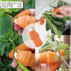 ปลอกนิ้วหั่นผัก