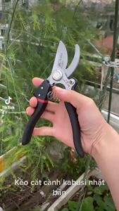 Kéo cắt cành lưỡi cong trợ lực Nhật Kapusi - Tăng 20 Lần Lực Cắt - Thép SK5 Độ Bền Cao - Đạt Độ Cứng HRC60