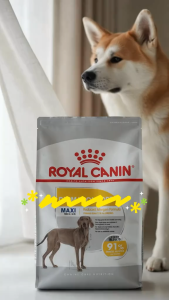 Royal Canin Maxi Dermacomfort 3kg Adult Premium Dry Dog Food for Large Breed Dogs Over 15 Months (26-44kg) Canine Care Nutrition for Sensitive Skin Prone to Irritation & Itching Reduced Allergen Formula to Reduce Scratching [New Stock]