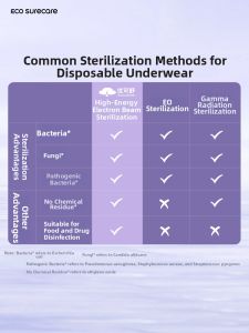 ECO SURECARE | Travel Sterile Non-washable Disposable Underwear