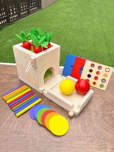 Đồ Chơi Giáo Dục Montessori Cho Trẻ Em 4 Trong 1 Hộp Mục Tiêu Ném Bóng Hộp Rắc Cỏ Dại Hộp Bận Rộn Hộp Đồ Chơi Giáo Dục