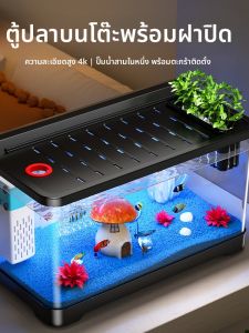 KUOTING | Lazy Persons Aquarium with Integrated Filtration and Oxygenation