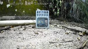 ✅ 【Siêu Rẻ】(1 cửa) Bẫy chuột liên hoàn bẫy chuột bẫy chuột bẫy chuột giá sỉ tận xưởng giá rẻ xuất xưởng Bẫy Chuột Cửa Đơn Và Cửa Đôi Bẫy Chuột Mạnh Tiết Kiệm Năng Lượng - Lazada