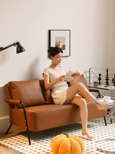 BMZAR Sofa 1-3 người chống thấm nước và chống mài mòn cho căn hộ nhỏ phòng khách phòng ngủ cửa hàng giảm giá năm