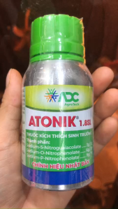 PHÂN BÓN LÁ ATONIK 1.8SL – KÍCH RỄ • BẬT MẦM • TĂNG SINH TRƯỞNG - MAI HUY SINCE 2008