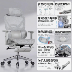 SAMEDREAM | Ergonomic Lumbar Support Chair